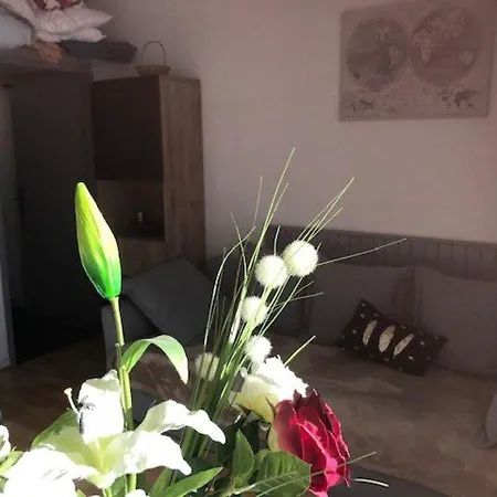 Appartement La Mongie, 1 Pièce, 4 Personnes - Fr-1-404-212